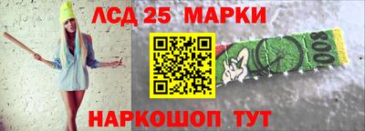 шишки Заволжье