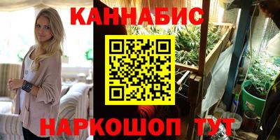 шишки Заволжье