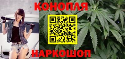 шишки Заволжье