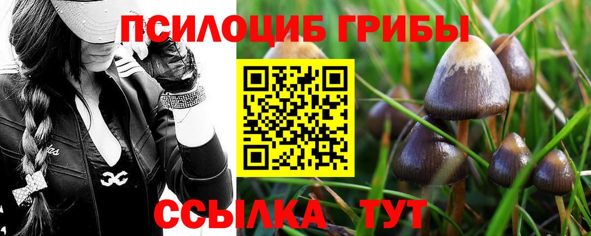 Лабинск  Галлюциногенные грибы ЛСД  Вход с VPN 